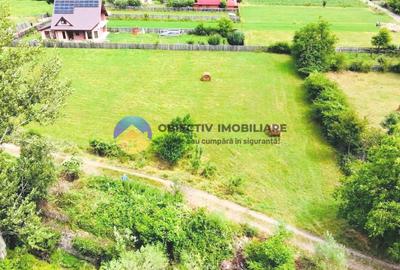 Teren Construcții intravilan de 1657 mp, în Stejaru (Pângărați) - 7