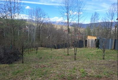Teren de 900 mp, în Mogoșoaia - 6