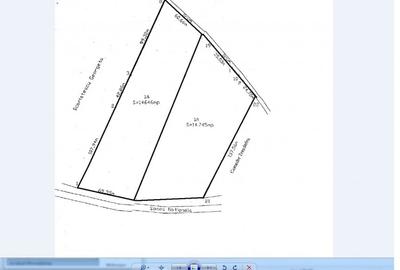 Teren Construcții intravilan de 29300 mp, în Albota - 3