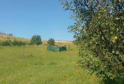 Teren Construcții intravilan de 3000 mp, în Sopor - 5
