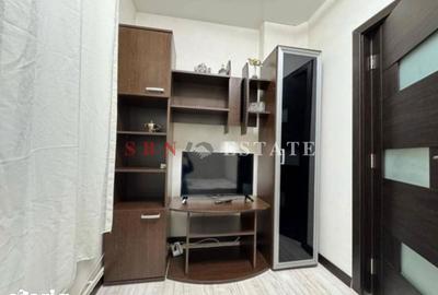 Apartament cu 3 camere decomandat în Parcul Carol - 4