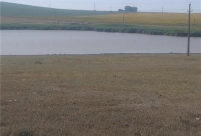 Teren de 3000 mp, în Murighiol - 4