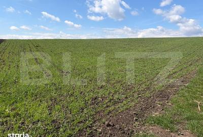 Teren de 3900 mp, în Burdujeni - 1