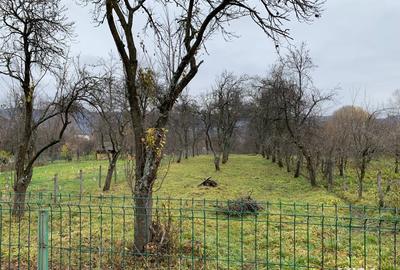 Teren de 1500 mp, în Corbi