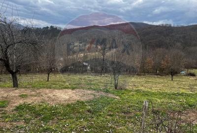 Teren Construcții intravilan de 12458 mp, în Văleni (Meteș) - 1
