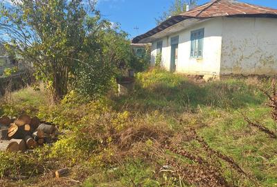 Teren agricol intravilan de 1000 mp, în Proselnici - 6