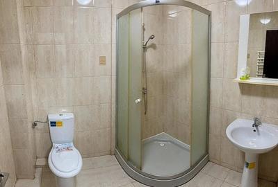 Garsonieră nedecomandată în Berceni