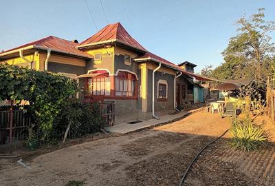 Casă cu 3 camere cu Teren 1736 Mp în Martalogi