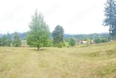 Teren de 5083 mp, în Ceahlău - 2