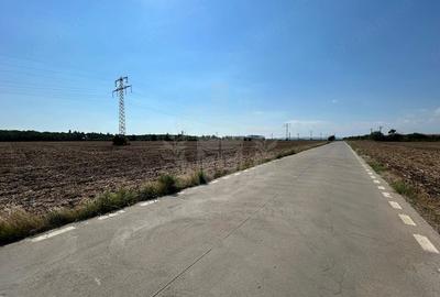 Teren de 100000 mp, în Păulești