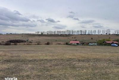 Teren de 3700 mp, în Roșia