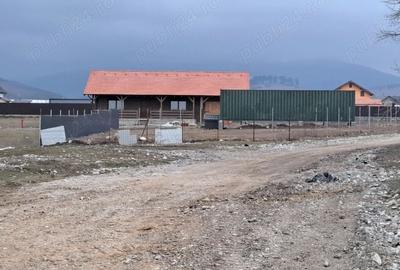 Teren Construcții intravilan de 1450 mp, în Cărpiniș - 11