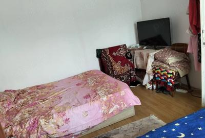 Casă cu Teren 1250 Mp în Cămineasca - 5