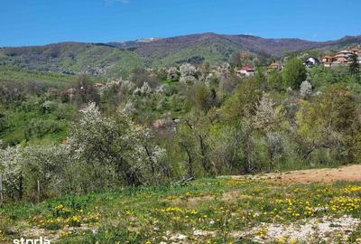 Teren de 1600 mp, în Pucheni - 3