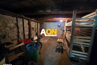 Casă cu 3 camere cu Teren 7050 Mp în Pianu