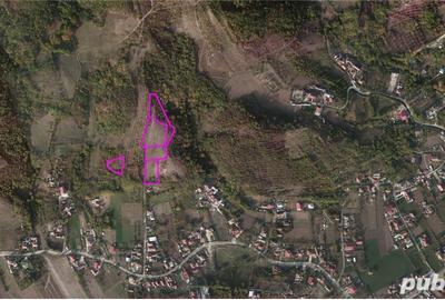 Teren de 8829 mp, în Copăcelu - 1