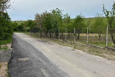 Teren de 570 mp, în Petrăchioaia - 1