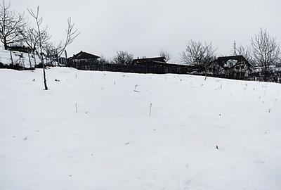 Teren Construcții intravilan de 1400 mp, în Cetate - 6