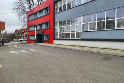 Spațiu industrial, de 1,000 mp, în Tătărași - 2