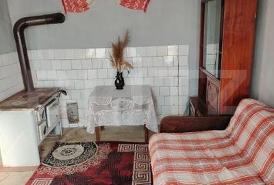Casă cu 2 camere cu Teren 3750 Mp în Ceanu Mare - 11