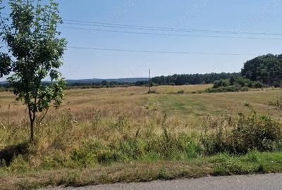 Teren de 12500 mp, în Central - 5