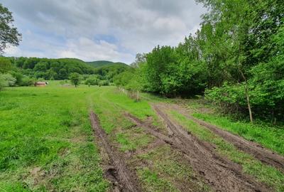 Teren Construcții extravilan de 2000 mp, în Cheile Râșnoavei - 2