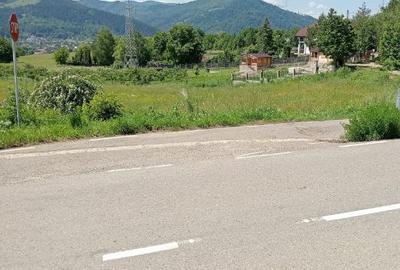 Teren intravilan de 8600 mp, în Viișoara - 5