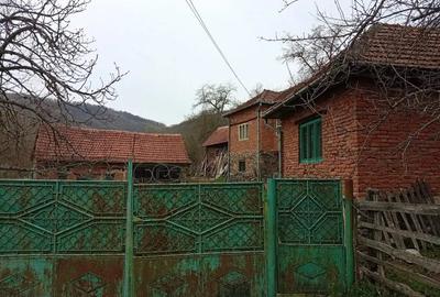 Casă cu 4 camere în Poieni (Densuș) - 8