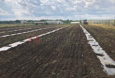 Teren de 30000 mp, în Nicolae Bălcescu - 8