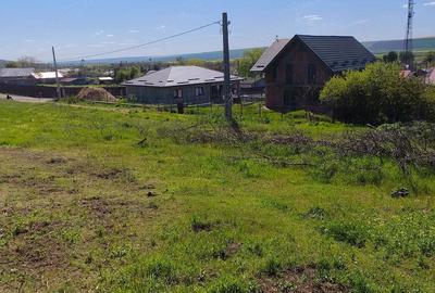 Teren de 800 mp, în Gara Banca - 3