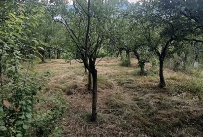 Casă cu Teren 1187 Mp în Cetățuia - 8