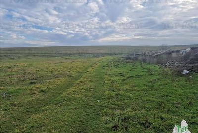 Teren Construcții intravilan de 4500 mp, în Cogealac - 3