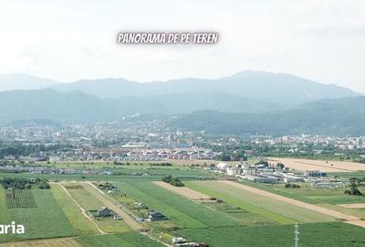 Teren de 10000 mp, în Stupini - 9