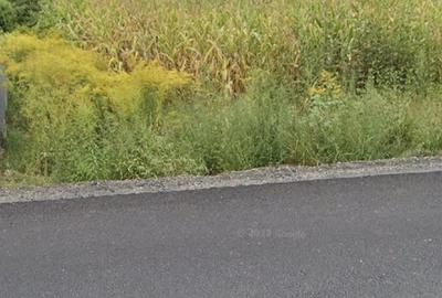 Teren de 800 mp, în Cliț
