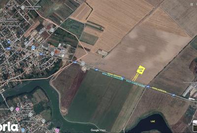 Teren Construcții extravilan de 3300 mp, în Afumați - 1