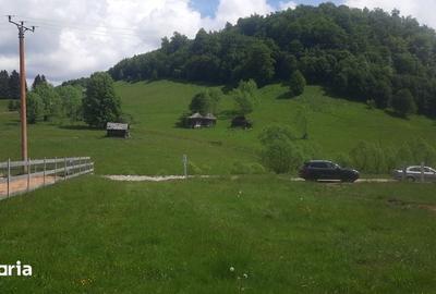 Teren de 1000 mp, în Dâmbovicioara - 1