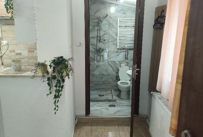 Apartament cu 2 camere semidecomandat în Exterior Vest - 12