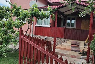 Casă cu 2 camere cu Teren 6000 Mp în Lechincioara - 3