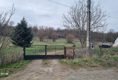 Teren Construcții intravilan de 1000 mp, în Gheorghe Doja - 6