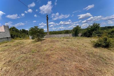Casă cu 2 camere în Moșoaia - 7