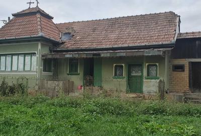 Casă cu 2 camere în Bădeni - 4