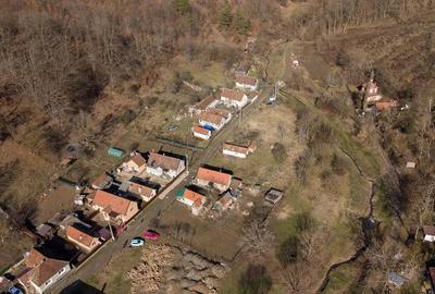 Teren de 302 mp, în Șoimoș - 9