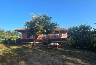 Casă cu 2 camere cu Teren 4000 Mp în Băbiceni