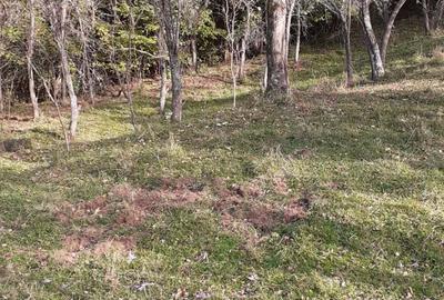 Teren de 5900 mp, în Vălișoara - 10