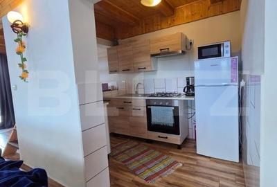 Casă cu 2 camere cu Teren 3000 Mp în Central - 15