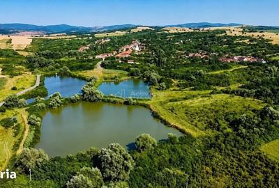 Casă cu 9 camere decomandat cu Teren 4400 Mp în Ciuchici