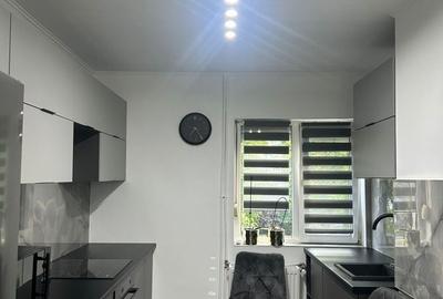 Apartament cu 2 camere semidecomandat în Sânmartin - 6
