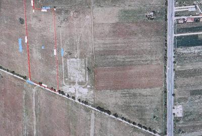 Teren de 25000 mp, în Tâncăbești - 4