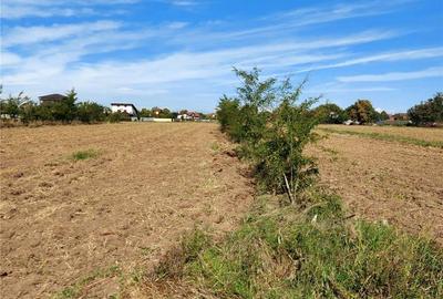 Teren de 1000 mp, în Ghermănești - 3