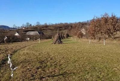 Teren de 3000 mp, în Central